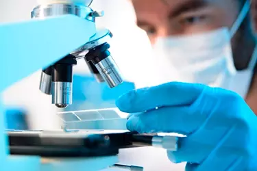pathology lab in purnia